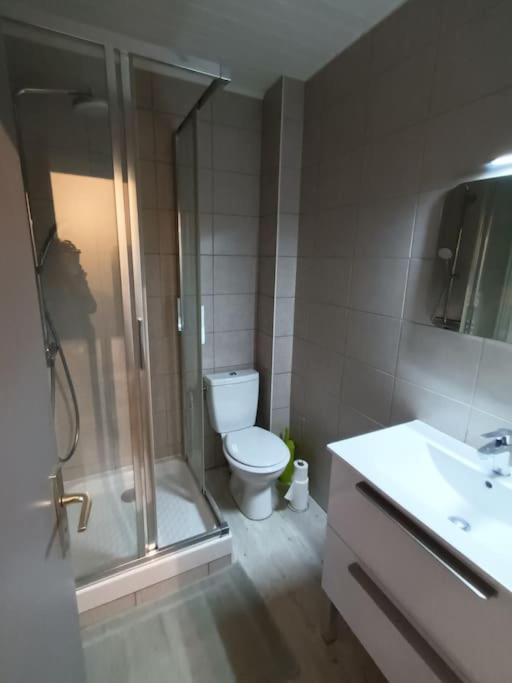 Appartement Duplex Avec Garage Annecy Centre Et Lac Εξωτερικό φωτογραφία